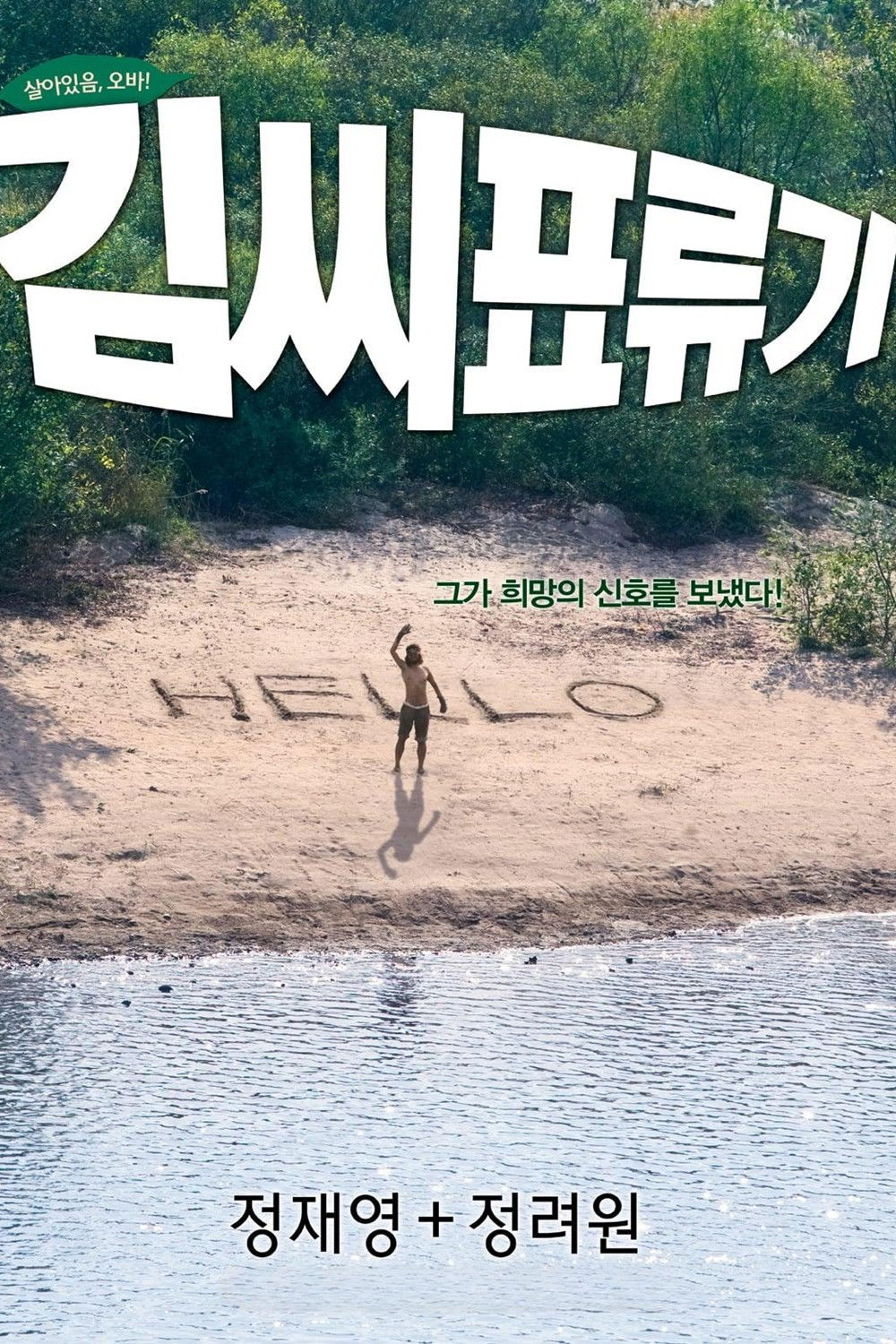 표류 포스터